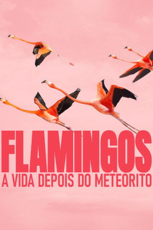 Flamingos: A Vida Depois do Meteorito