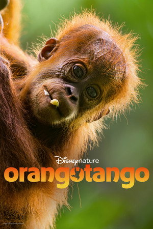 Orangotango